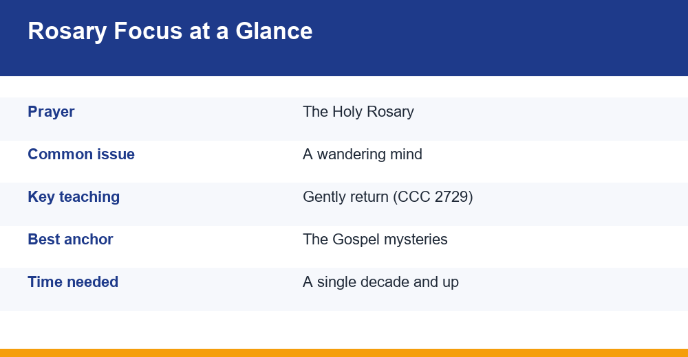 rosary distractions — infographie